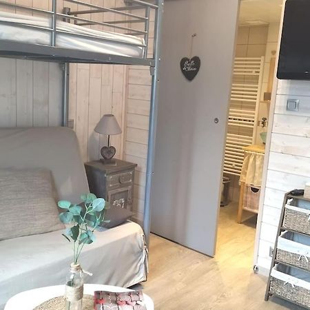 Appartement Chaleureux Et Cosy Mont-Dore Kültér fotó