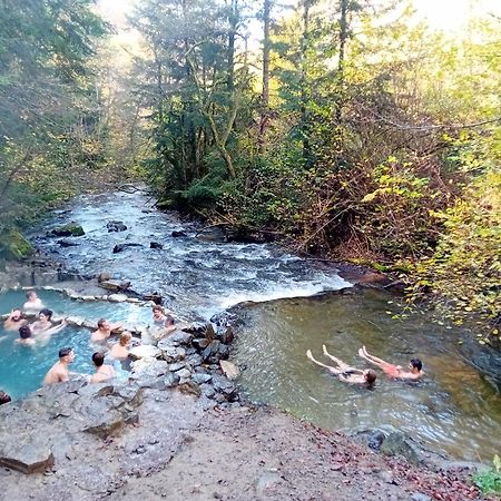 Appartement Chaleureux Et Cosy Mont-Dore Kültér fotó