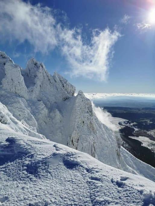 Appartement Chaleureux Et Cosy Mont-Dore Kültér fotó